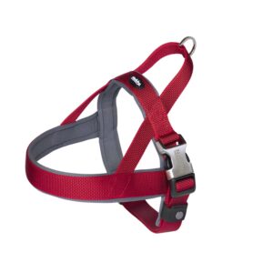 Norwegian Harness Classic Preno Royal