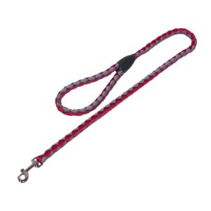 Leash Corda