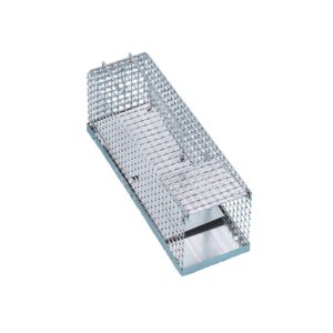 Rat cage-trap with steel sheet rocker