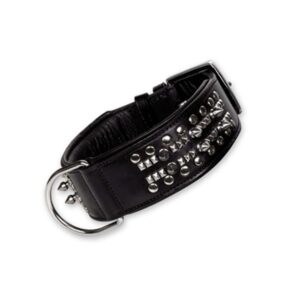 Læderhalsbånd Delgado, sort