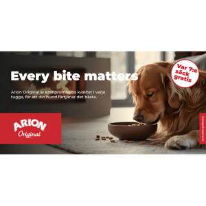 ARION Mest Banner version A