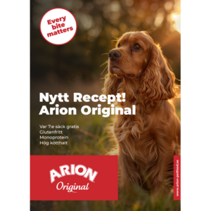 ARION Affisch 50*70 cm Original