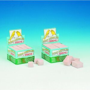 Bird nibbles, 48 pcs, S