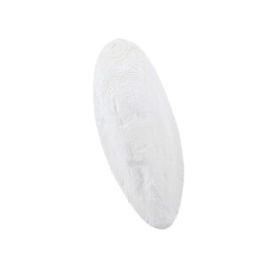 Cuttle fish, 1 kg, 15-20 cm, 1 kg