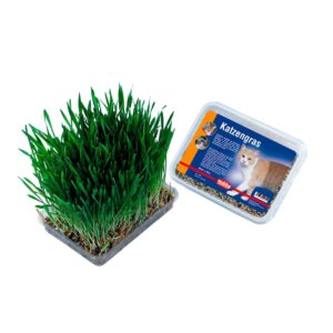 Cat grass 100 g