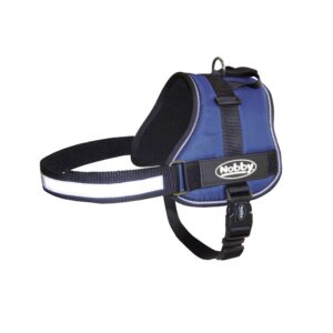 Harness SEGURO