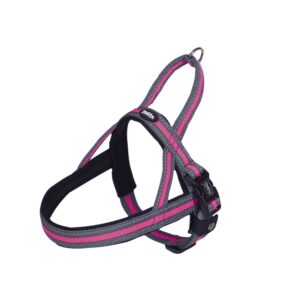 Norwegian Harness Variado
